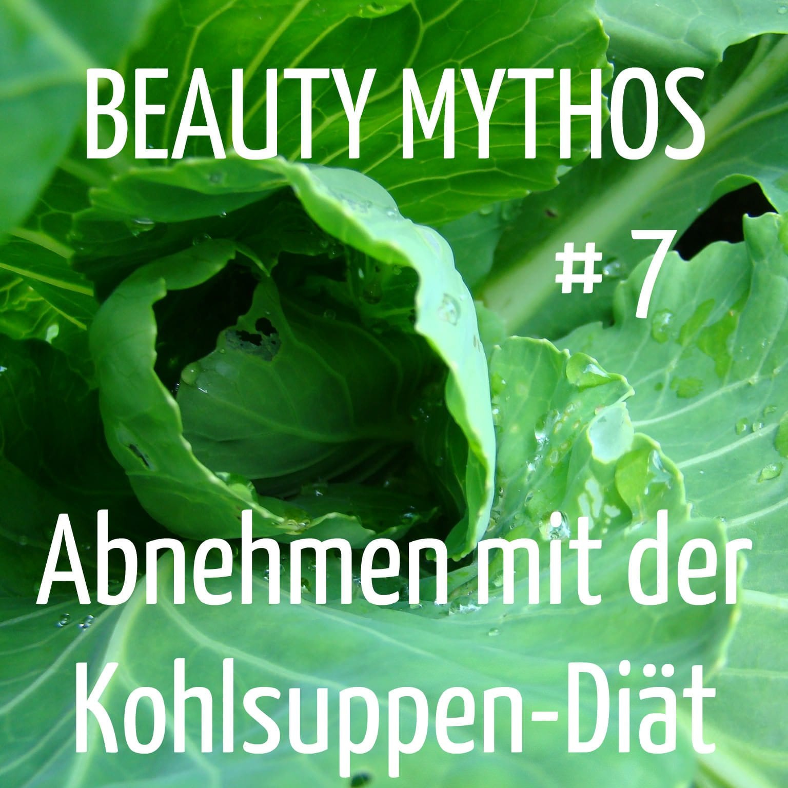 Abnehmen mit der kohlsuppendiät