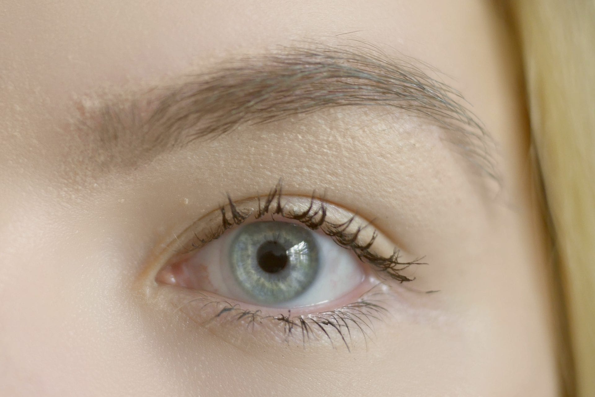 bow down brows - a natural brow guide how-to and tips