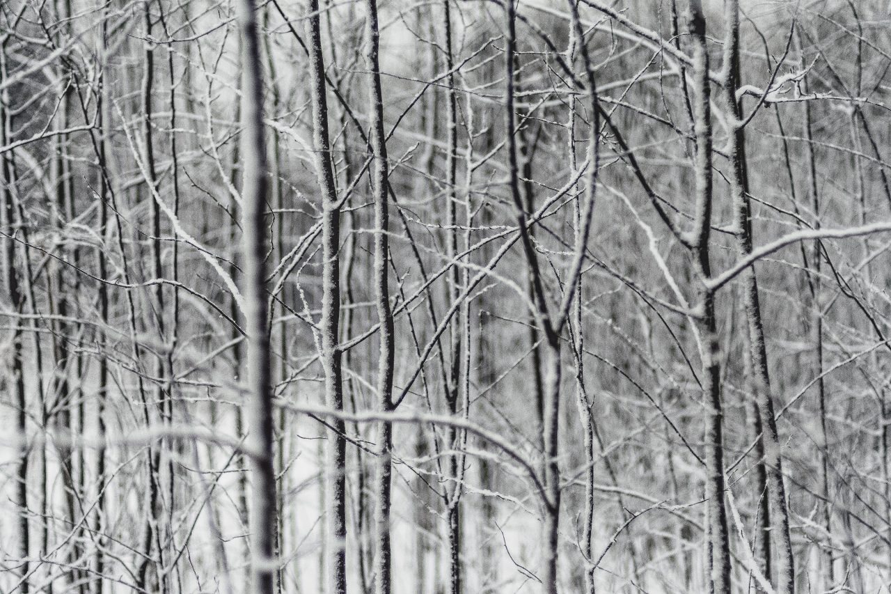 winter skincare tips and tricks hydration dry skin