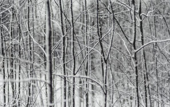 winter skincare tips and tricks hydration dry skin
