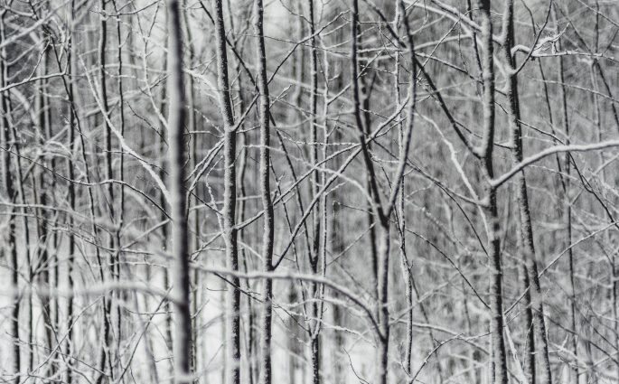 winter skincare tips and tricks hydration dry skin
