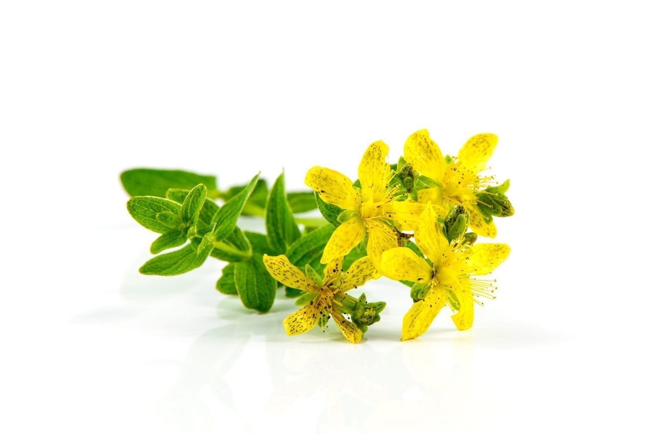 St. John's Wort and Photosensitivity