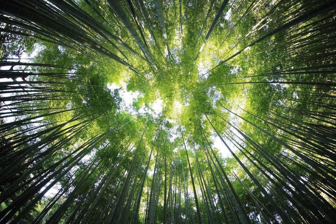 Lass uns mal reden: Green-Washing — So vermeidest du falsche Werbung