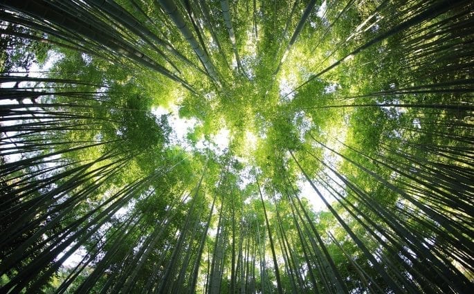 Lass uns mal reden: Green-Washing — So vermeidest du falsche Werbung