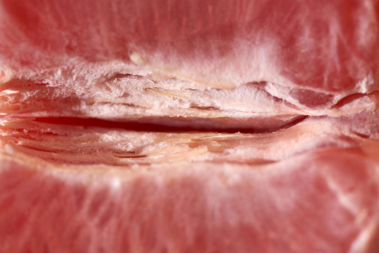 Blood Orange — Cover Photo by Cliff Booth