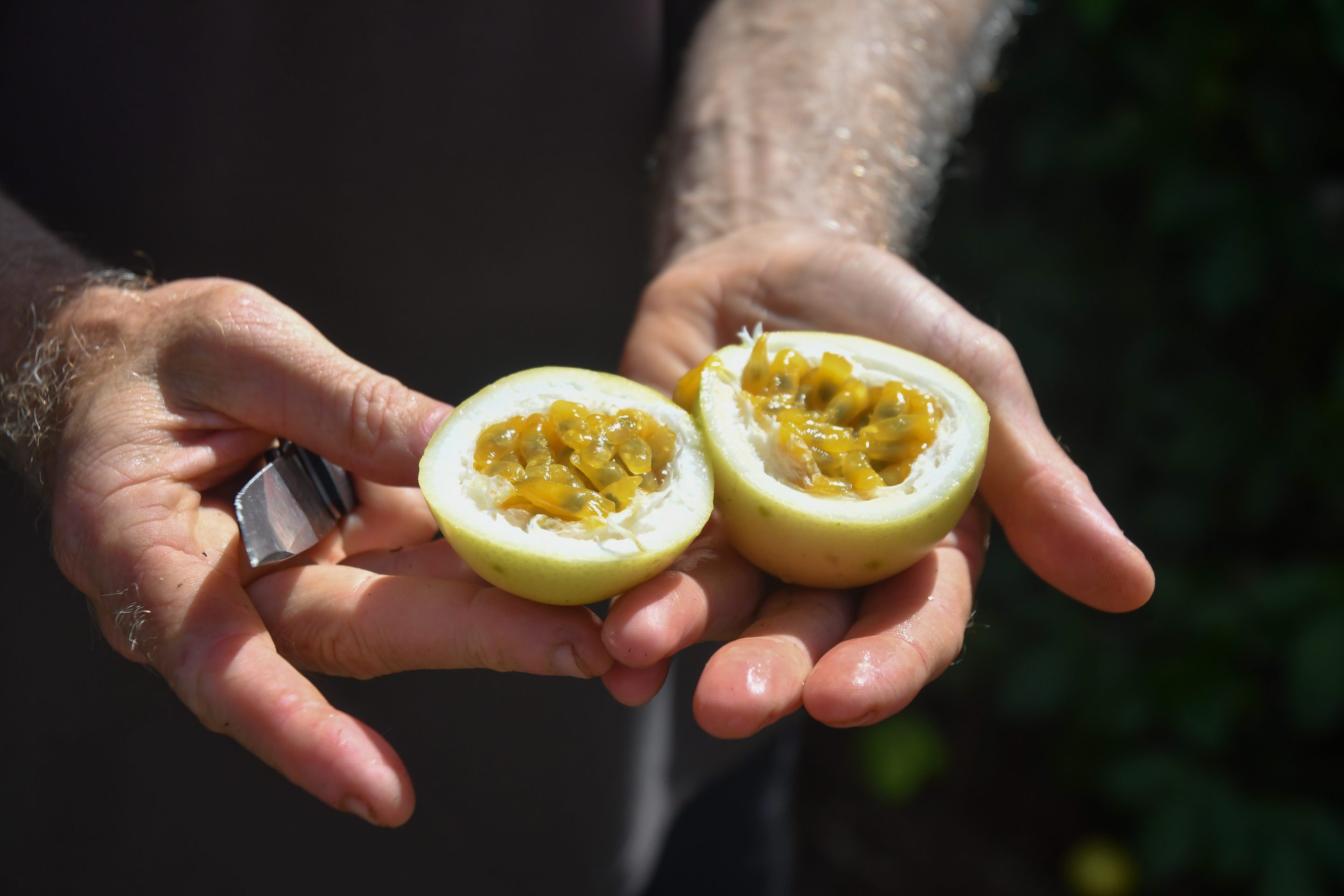 Leahlani Visit - Passionfruit Tasting